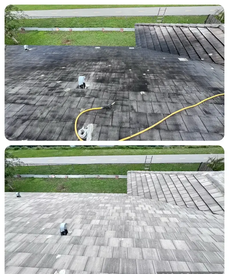Before and after — Shingle roof soft wash