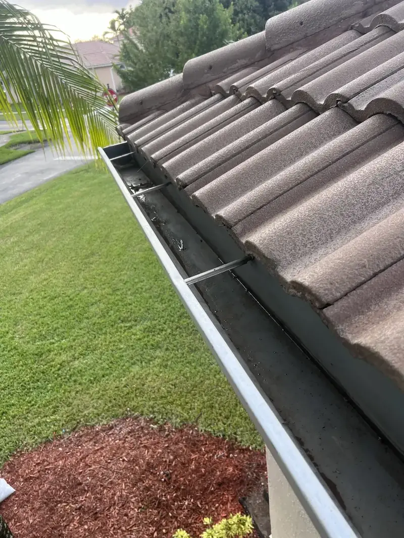 Gutter Cleaning