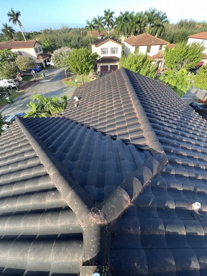 Barrel tile roof part way through a soft wash